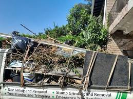 Best Yard Waste Removal  in Jasper, TN