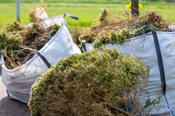 Best Shed Removal  in Jasper, TN