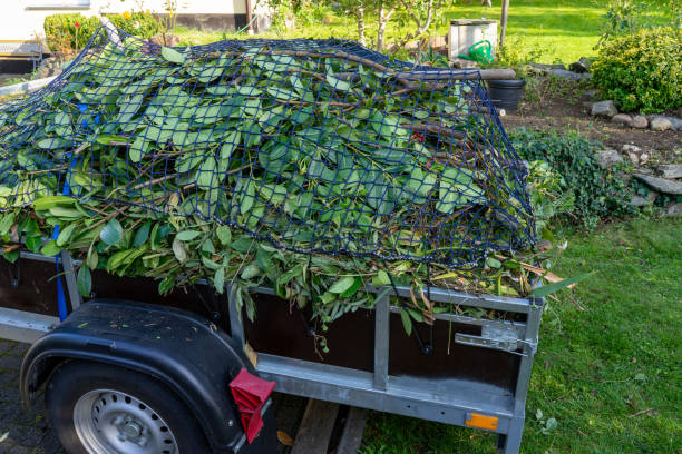 Best Shed Removal  in Jasper, TN